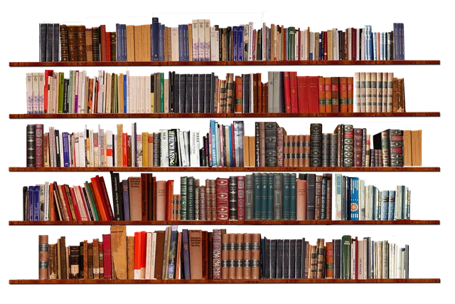 books, shelves, library, bookshelf, reading, bookcase, literature, academic, research, education, cut out, isolated, transparent background, library, bookshelf, bookshelf, bookshelf, bookshelf, bookshelf, bookcase. Manipulation resistance books compared across four confused shelves