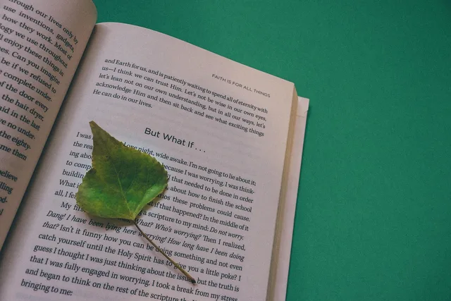 book, open book, leaf, mind, renew, black and white, paper, education, page, literature, reading, information, library, learn, study, knowledge, journal, educational, textbook, nature, studying, school, college, passion, women, write, diary, inspiration, inspired. Commitment and consistency exercises: stay or go, on the merits