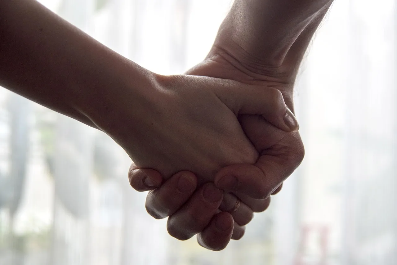 hands, pair, love, keep, handshake, support, handshake, handshake, handshake, support, support, support, support, support. Liking principle: separating the person you like from the offer they make