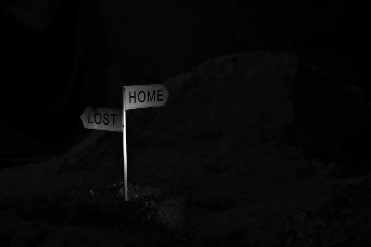 plank, choice, home or lost, home, lost, road, adventure, journey, night, dark, danger, mystery, frustrated, black home, black road, black night, black dark, choice, choice, lost, lost, lost, lost, lost, journey, frustrated. Nudge Theory vs Persuasion: When a Choice Architect Should Step Back