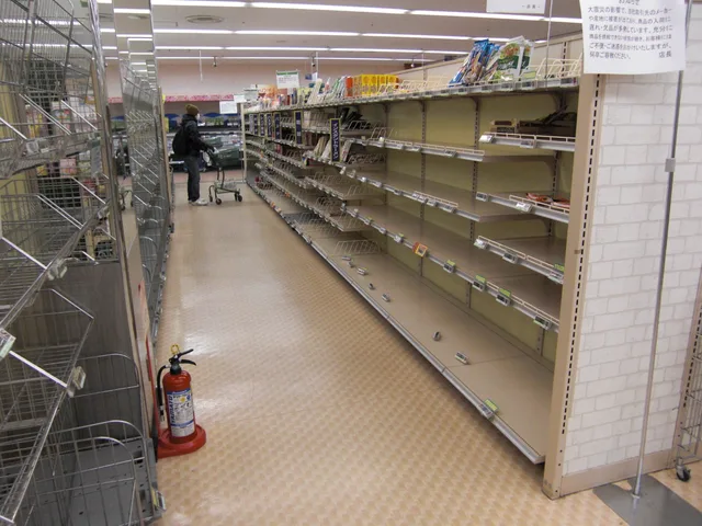 Empty instant noodle shelves in a supermarket in Tokyo due to logistic stack and buyout on 16 March 2011, 5 days after the 2011 Sendai earthquake. Scarcity meaning: telling a real limit from a manufactured one