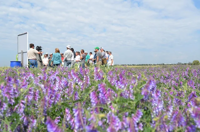 research, people, field. Social Influence Basics in Real Settings: A Field Exercise Guide